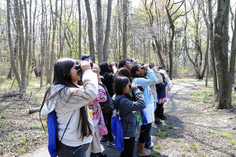 The Best Binoculars for Bird Watching: 9 Top Picks for Every Budget (2026)