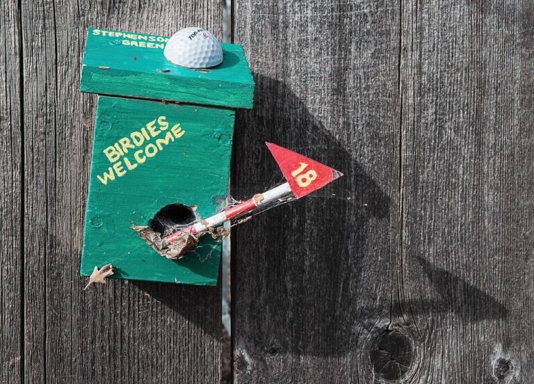 Bird Houses: The Complete Guide to Nest Boxes That Actually Work