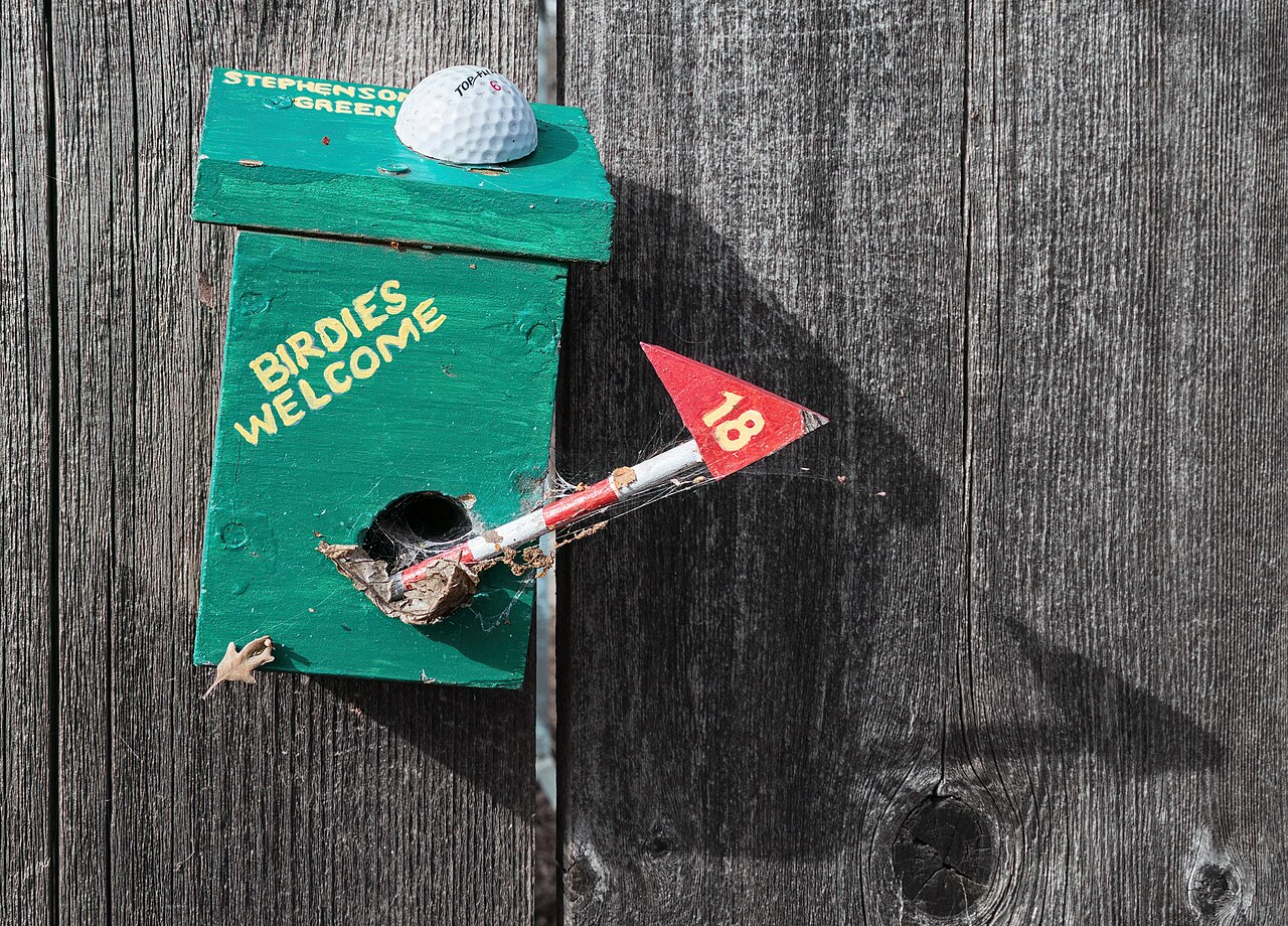 Bird Houses: The Complete Guide to Nest Boxes That Actually Work