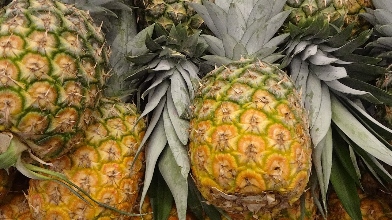 Can Chickens Eat Pineapple Skin and Rind?