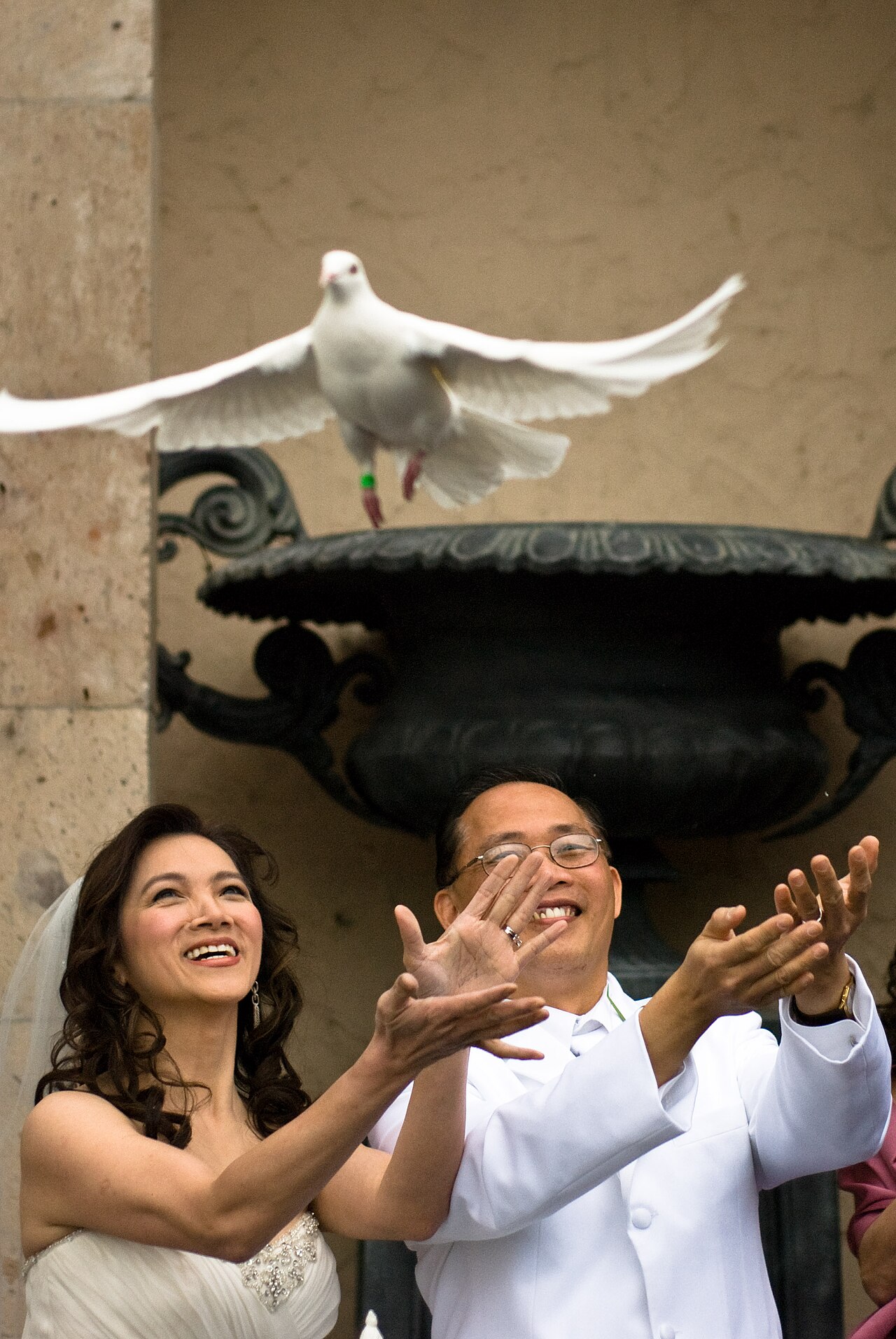 Ceremonial dove release, the tradition behind memorial dove tattoos