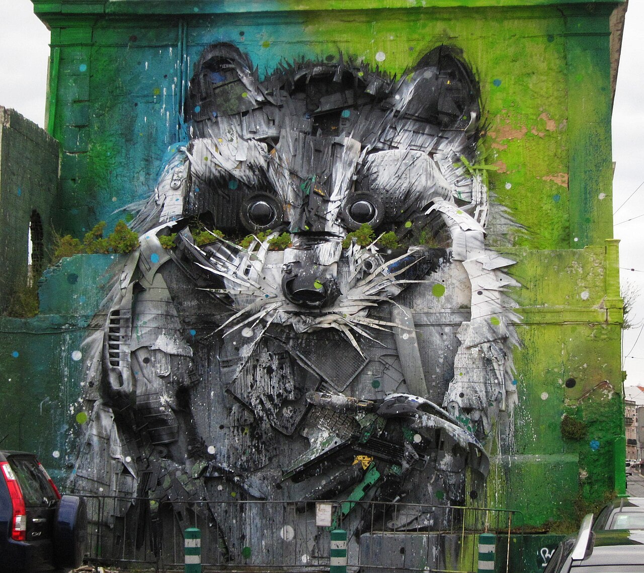 The Critical Health Risk: Raccoon Roundworm