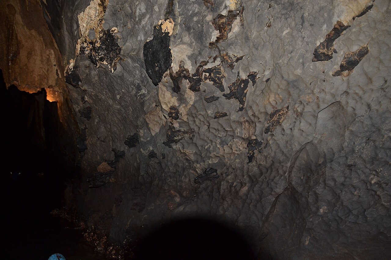 Bat Poop: How to Identify Guano and Clean It Up Safely