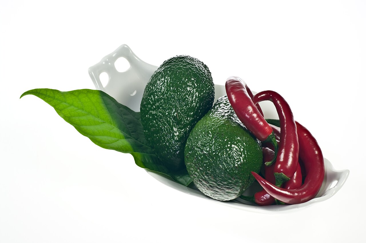 Symptoms of Avocado Poisoning in Chickens