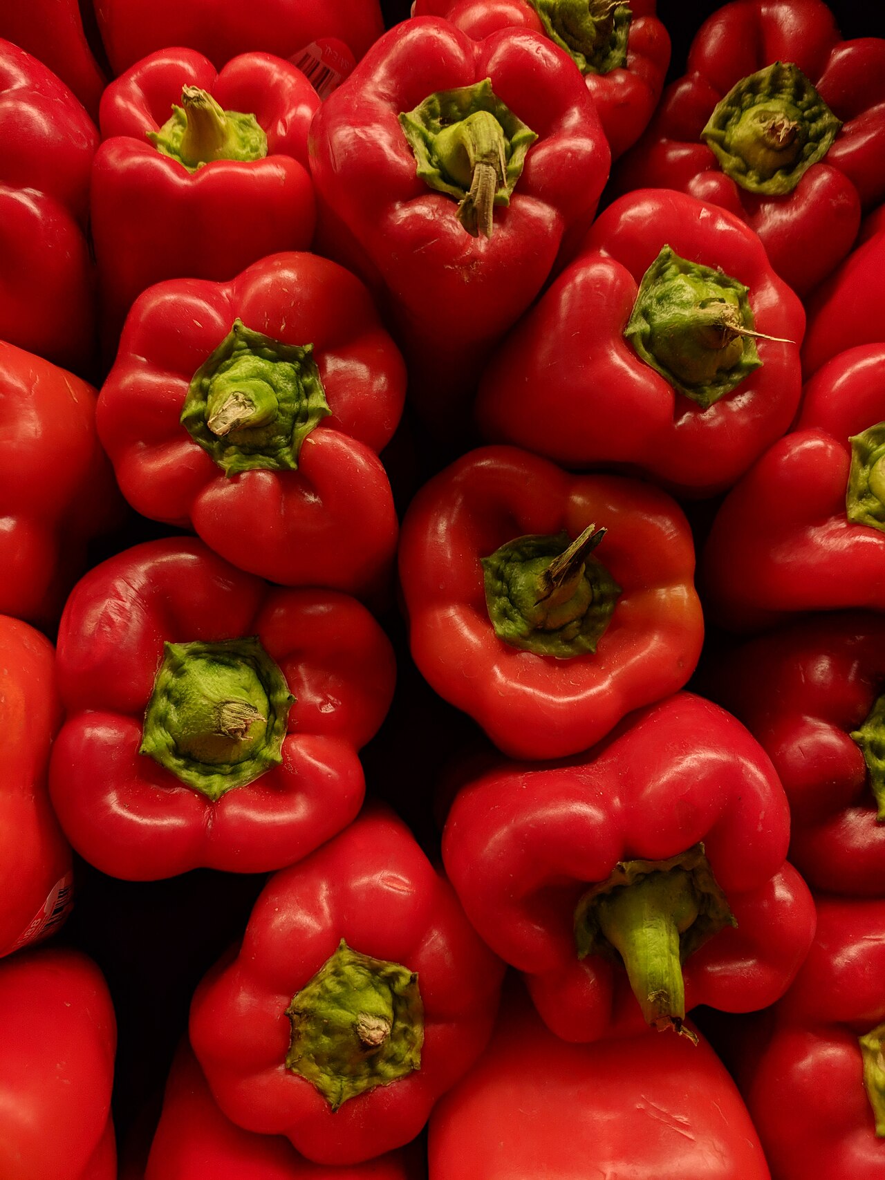 Can Chickens Eat Bell Peppers Everyday?