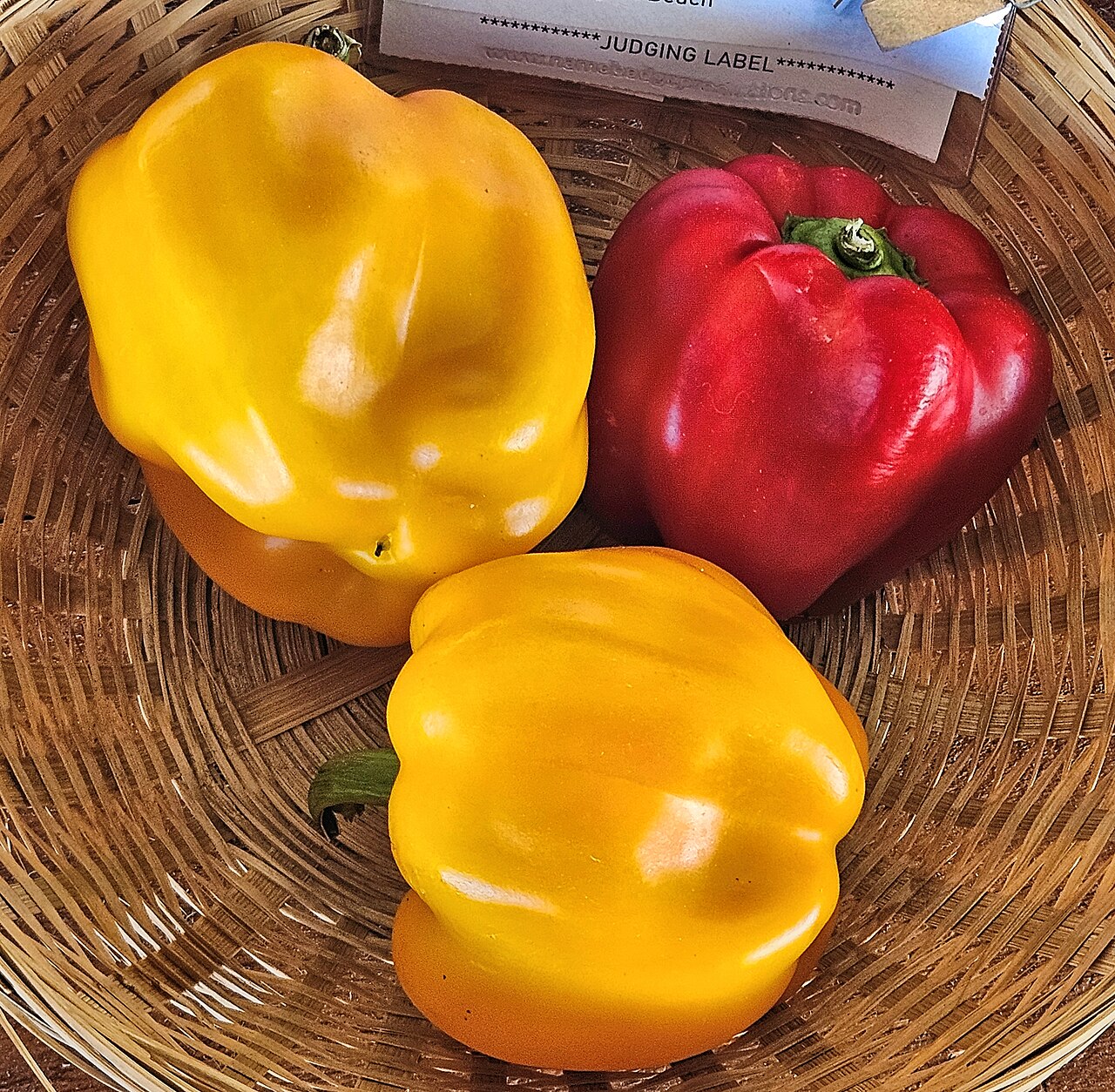 Can Chickens Eat Bell Pepper Seeds and Stems?