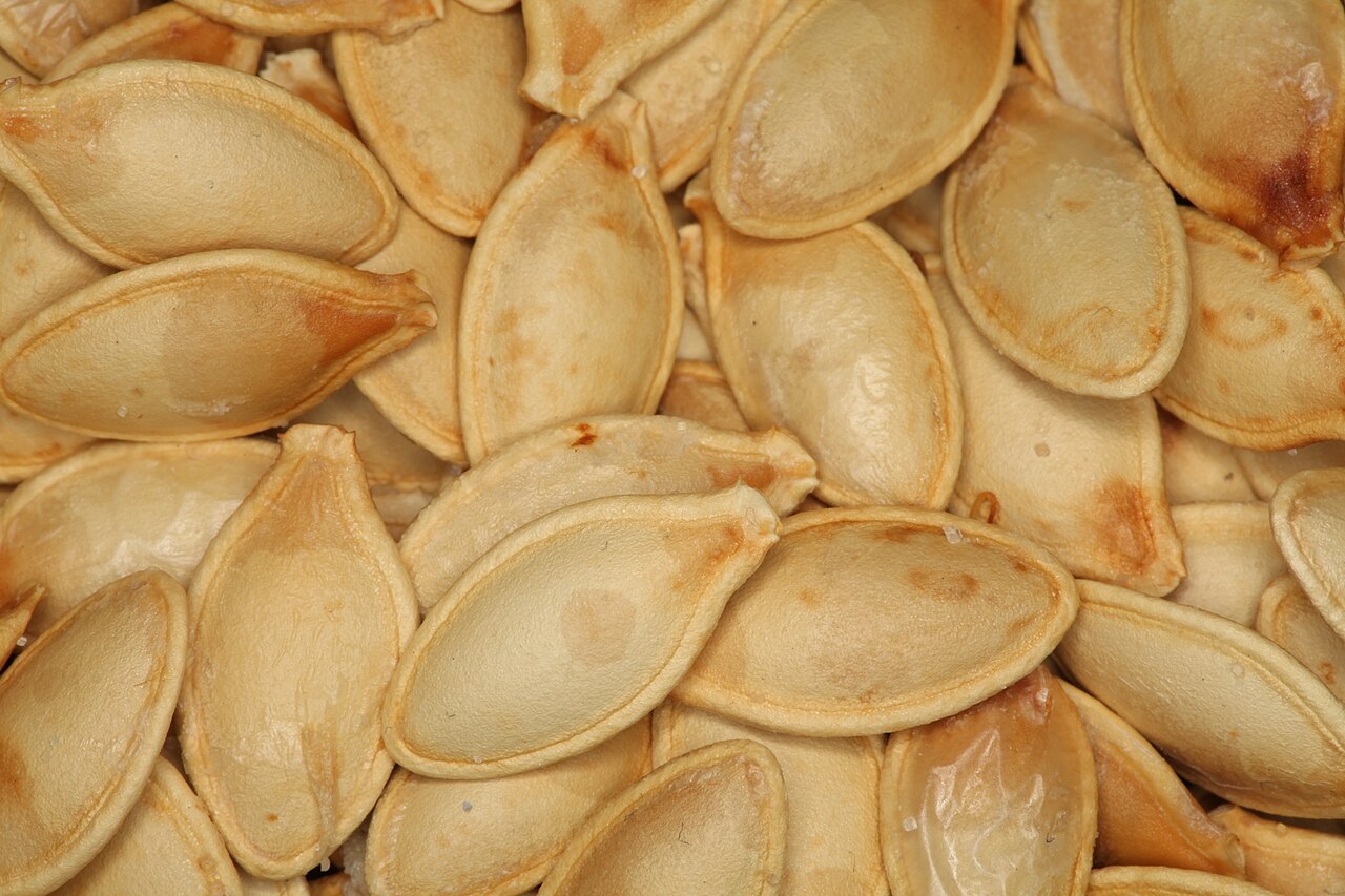 Are Pumpkin Seeds Nutritious for Chickens?