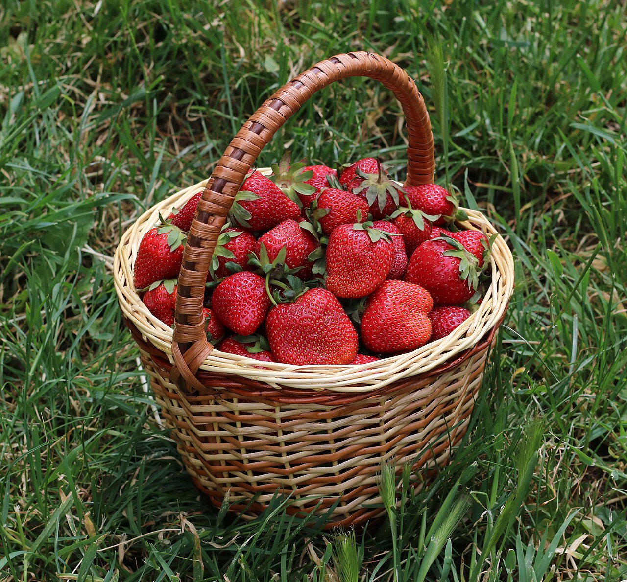 How Many Strawberries Can a Rabbit Have?