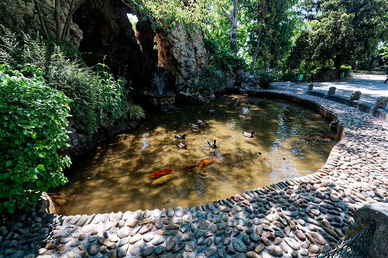 How do I keep my koi pond water clear?