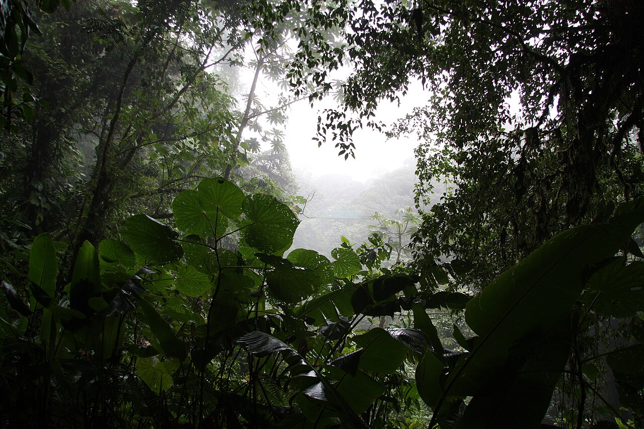 How Big Is a Quetzal?
