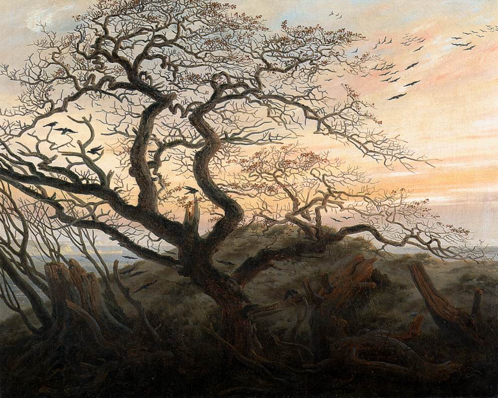 Is a Group of Crows Called a Flock?