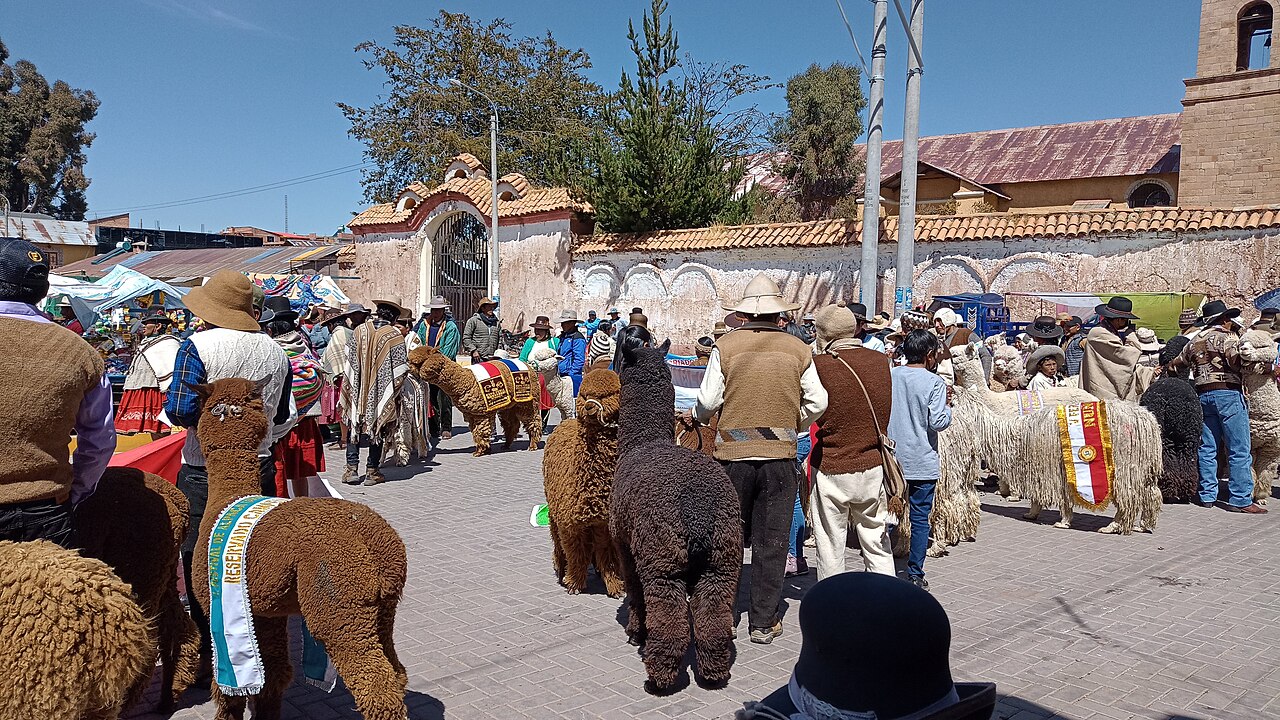 Alpaca Poop: Size, Shape and 3 Look-Alikes