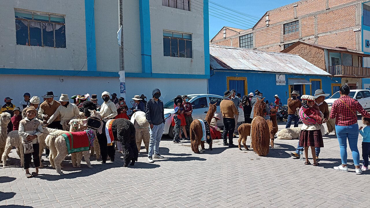 Alpaca Poop vs Llama Poop