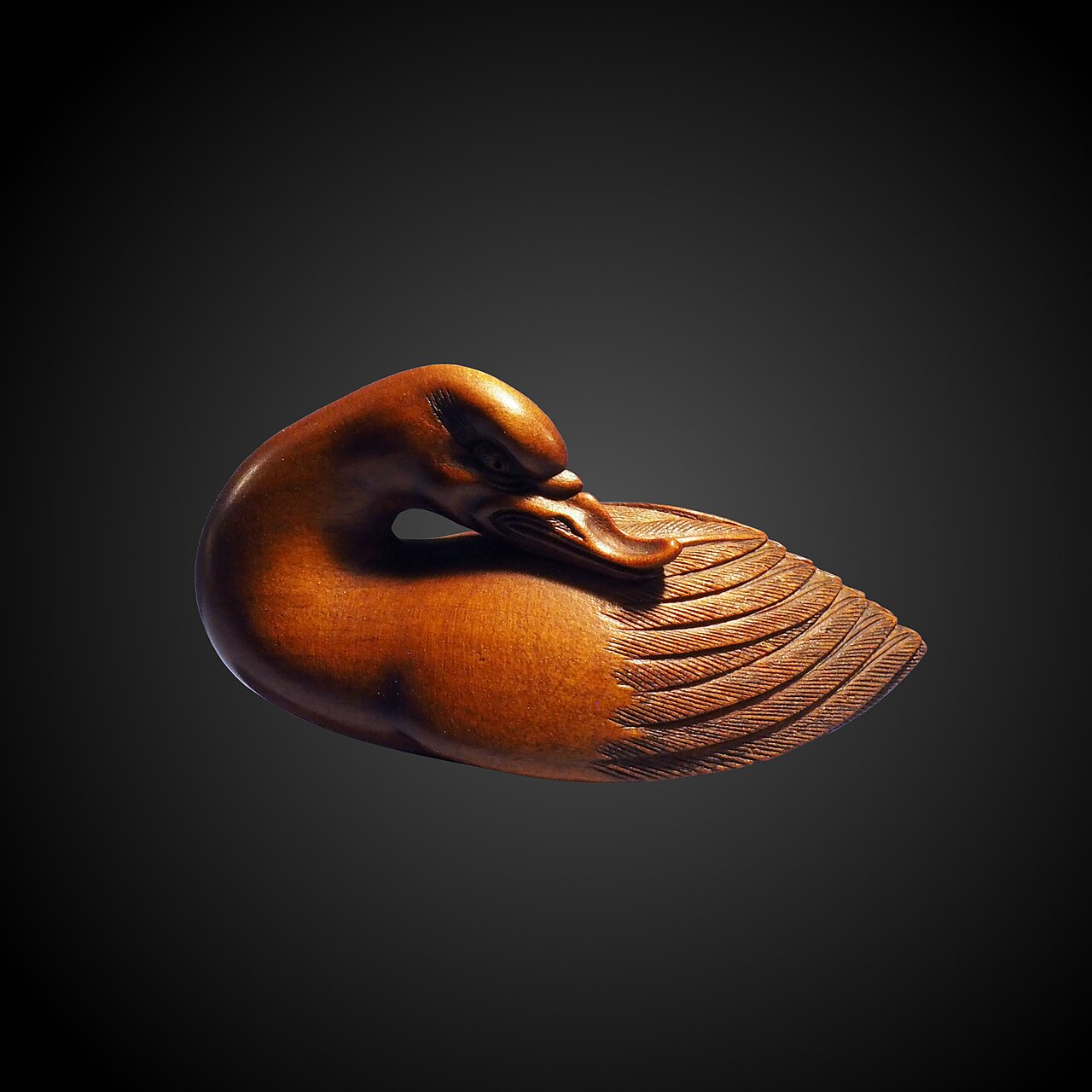 Do Ducks Have Biblical Meaning?